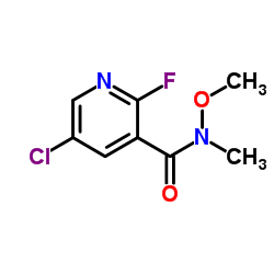 5-Chloro-2-fluoro-N-methoxy-N-methyl-3-pyridinecarboxamide Structure