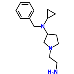 1-(2-Aminoethyl)-N-benzyl-N-cyclopropyl-3-pyrrolidinamine结构式