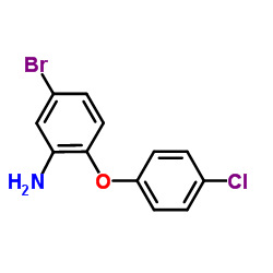 15212-00-7 structure