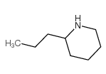 (±)-Coniine picture