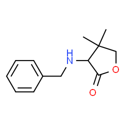 2(3H)-Furanone,dihydro-4,4-dimethyl-3-[(phenylmethyl)amino]-(9CI) structure