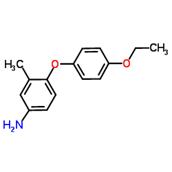 4-(4-Ethoxyphenoxy)-3-methylaniline Structure