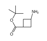 cis-tert-Butyl-3-aminocyclobutane-1-carboxylate picture