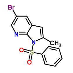 5-溴-2-甲基-1-(苯基磺酰)-1H-吡唑并[2,3-B]吡啶结构式