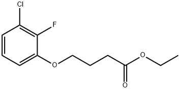 Ethyl 4-(3-chloro-2-fluoro-phenoxy)butanoate Structure