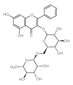 galangin-3-rutinoside picture