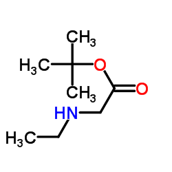 2-(乙基氨基)乙酸叔丁酯图片