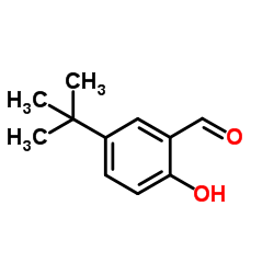 5-叔丁基-2-羟基苯甲醛图片