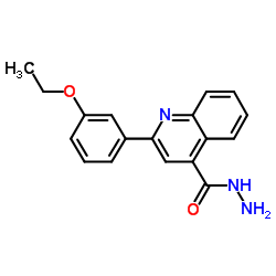 2-(3-Ethoxyphenyl)-4-quinolinecarbohydrazide Structure