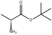 (R)-2-氨基丙酸叔丁酯结构式