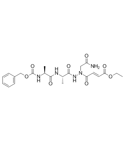 RR-11a analog picture