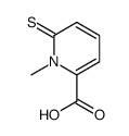 1-methyl-6-sulfanylidenepyridine-2-carboxylic acid Structure