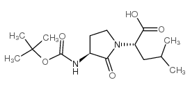 boc-freidinger's lactam structure