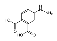 169739-72-4 structure