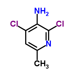 2,4-二氯-6-甲基吡啶-3-胺结构式