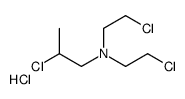 2-Chloro-N,N-bis(2-chloroethyl)-1-propanamine picture