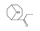 1-[(1R,6R)-9-azabicyclo[4.2.1]nonan-5-yl]propan-1-one结构式