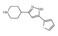 4-[5-(2-THIENYL)-1H-PYRAZOL-3-YL]PIPERIDINE结构式