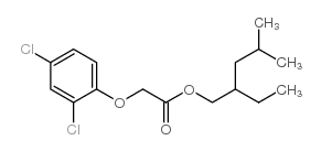 53404-37-8 structure