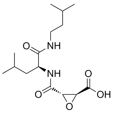 E-64c Structure