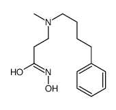 919997-16-3结构式