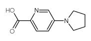 5-pyrrolidin-1-ylpyridine-2-carboxylic acid picture