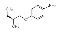 (S)-4-(2-methyl-butoxy)-phenylamine structure