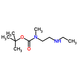 2-Methyl-2-propanyl [2-(ethylamino)ethyl]methylcarbamate picture