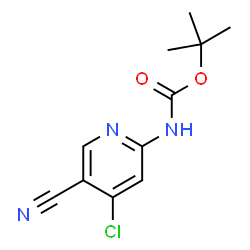 tert-butyl-(4-chloro-5-cyanopyridin-2-yl)carbamate图片