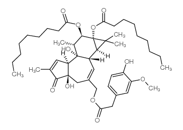 251362-87-5 structure