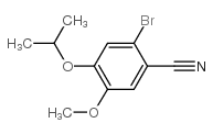 2-溴-4-异丙氧基-5-甲氧基苯甲星空app图片