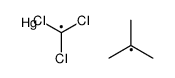 tert-butyl(trichloromethyl)mercury Structure