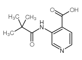 3-(2,2-DIMETHYL-PROPIONYLAMINO)-ISONICOTINIC ACID Structure