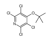 2,3,5,6-tetrachloro-4-[(2-methylpropan-2-yl)oxy]pyridine结构式