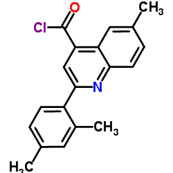 2-(2,4-Dimethylphenyl)-6-methyl-4-quinolinecarbonyl chloride Structure