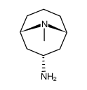 9-AZABICYCLO[3.3.1]NONAN-3-AMINE, 9-METHYL- structure