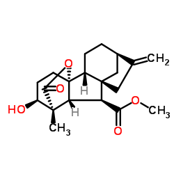 19124-90-4 structure