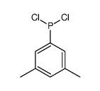 dichloro-(3,5-dimethylphenyl)phosphane结构式