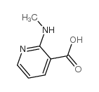 2-(METHYLAMINO)NICOTINIC ACID picture