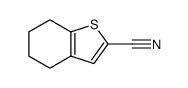 4,5,6,7-tetrahydro-benzo[b]thiophene-2-carbonitrile picture