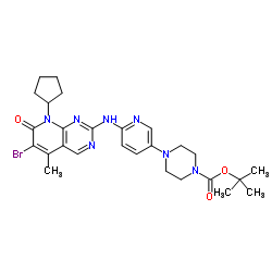 571188-82-4 structure