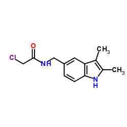 2-CHLORO-N-(2,3-DIMETHYL-1H-INDOL-5-YLMETHYL)-ACETAMIDE structure