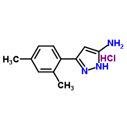 5-(2,4-DIMETHYLPHENYL)-1H-PYRAZOL-3-YLAMINE HYDROCHLORIDE结构式