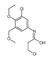 3-chloro-N-[3-chloro-4-ethoxy-5-(methoxymethyl)phenyl]propanamide结构式