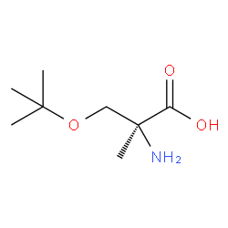 H-α-MeSer-(OtBu)-OH Structure