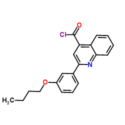 2-(3-Butoxyphenyl)-4-quinolinecarbonyl chloride结构式