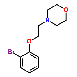 1704067-48-0 structure