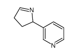 (+/-)-Isomyosmine structure