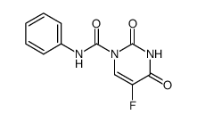 PluriSIn #2 picture