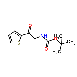 2-Methyl-2-propanyl-[2-oxo-2-(2-thienyl)ethyl]carbamat Structure